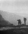 Walkers, Kinder Downfall