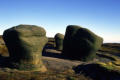 ...where the rocks resemble Henry Moore sculptures...