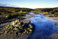 The frozen river Kinder