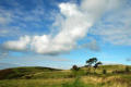 Skyscape, Offa's Dyke