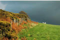 Sheep and sky, Offa's Dyke