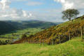 View to the Teme valley, Offa's Dyke