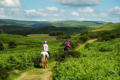 Riders on the ridge