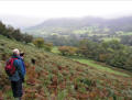 Starting out from Llanthony