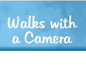 Walks with a Camera