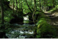 Nant-y-Pandy - stream and tramway