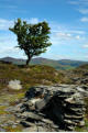 Slab Quarry remains