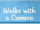 Walks with a Camera