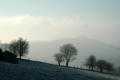 Misty View from Middlehope Hill