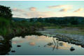 Evening light on the Breamish