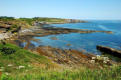 View to Cullernose Point