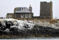 Inner Farne