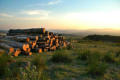 Low sun and logs, Beanley Moor