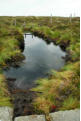 Peaty pool on the border