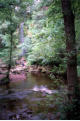 Mallyan Spout