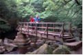 In the gorge of West Beck