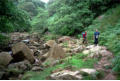 In the gorge, West Beck