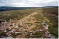 The Roman road, Wheeldale Moor