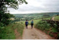 Descending into Rosedale