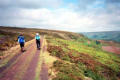 The old railway track, Rosedale