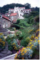 Runswick Bay