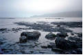 Misty shore, Runswick Bay