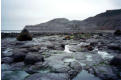 The shoreline near Runswick Bay