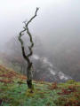 Above Leck Beck