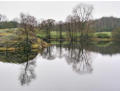 Moss Eccles Tarn