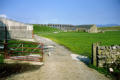 Ribblehead and wee dug