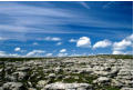 Limestone scenery near Nine Standards Rigg