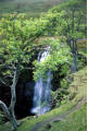 Force Gill waterfall