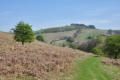 Approaching Darnford