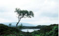 Rannoch Moor