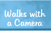 Walks with a Camera