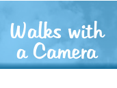 Walks with a Camera