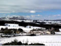 The Bog - the field centre and the view to Corndon Hill