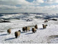 The view to the Long Mynd