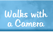 Walks with a Camera