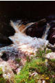 Water of Minnoch at Stroan Bridge