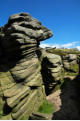 Wind-carved rocks