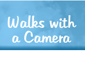 Walks with a Camera