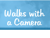 Walks with a Camera