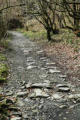 Tramway remains - near Pont Nedd Fechan