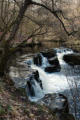 Cascades on the Pyrddin