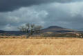 On the ridge - view to the Black Mountain