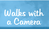 Walks with a Camera