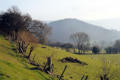 Castell Dinas Bran, seen from the road