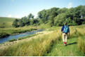 Beside Widdale Beck