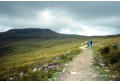 The path beside Simon Fell